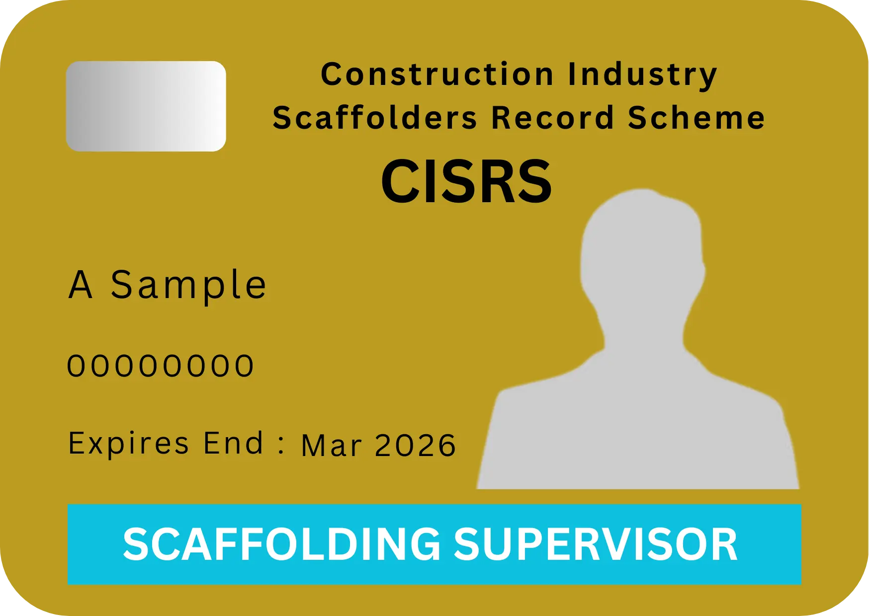 professionally-qualified-person